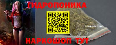 дживик Кимры